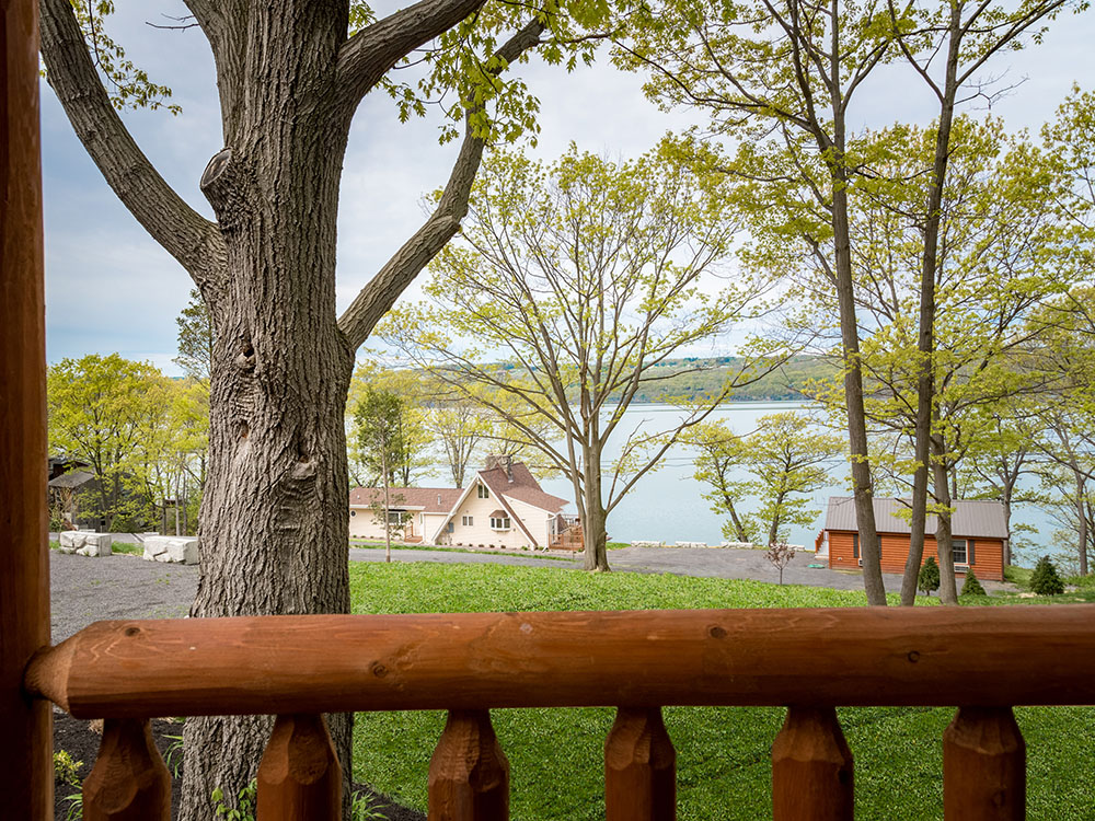 view from cottage 8